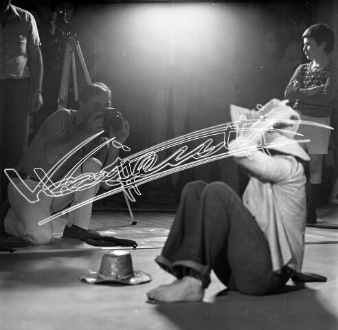 Vajenti - La storia. file