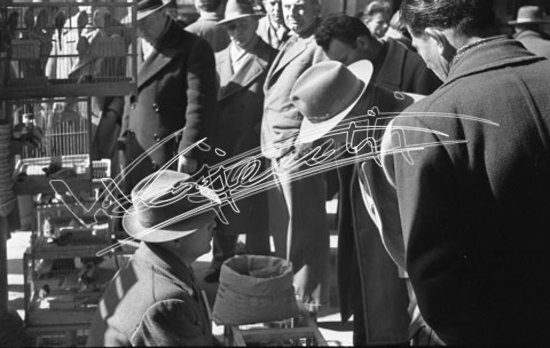 Piazza delle Erbe. pellicola - negativo bianco e nero fto mm 24X36