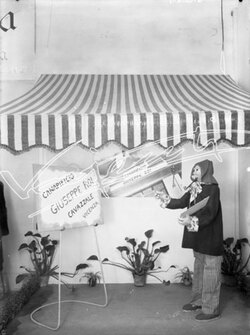 Fiera Campionaria di Vicenza 1947