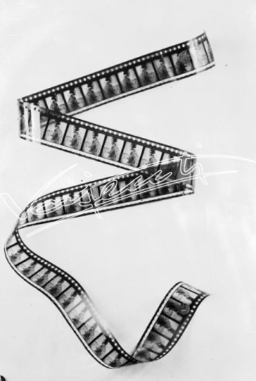 Vajenti - La storia. lastra di vetro - negativo bianco e nero fto mm 180x240