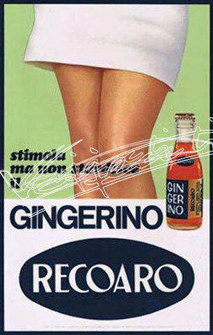 Demanio Acque di Recoaro. file