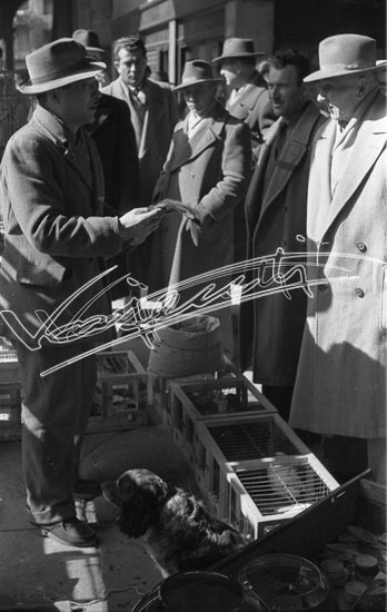 Piazza delle Erbe. pellicola - negativo bianco e nero fto mm 24X36