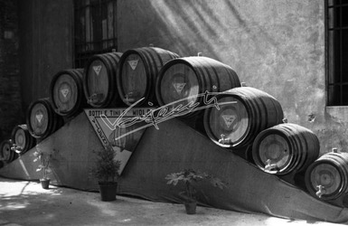 Fiera Campionaria di Vicenza 1947 Fiera Campionaria di Vicenza 1947