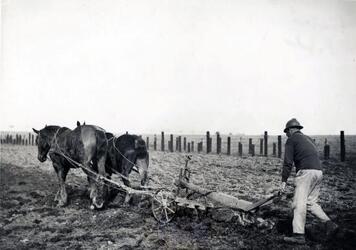 CONTADINO FRANCESE ARA I CAMPI A RIDOSSO DELLA LINEA MAGINOT FASCISMO