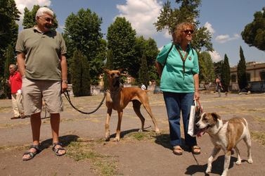 CANI ANIMALI DOMESTICI