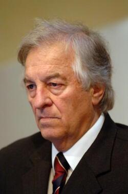 ENNIO SALAMON SONDAGGISTA