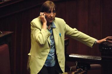 FLAVIA PERINA POLITICO AN