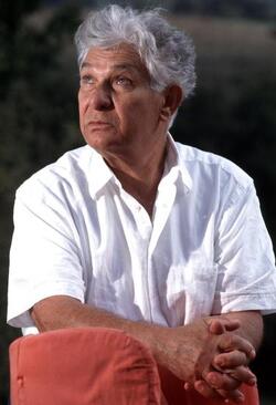 ERMANNO REA SCRITTORE