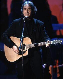 RICCARDO FOGLI CANTANTE musica