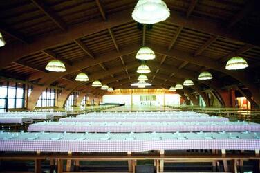 SAN PATRIGNANO LA SALA MENSA