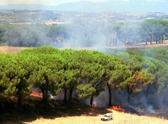 INCENDIO VIGILI DEL FUOCO POMPIERI PARCO DI VEIO