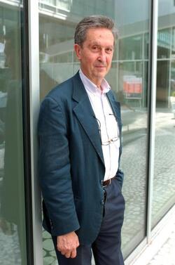 MICHELE SALVATI ECONOMISTA