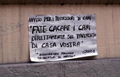 Inquinamento animali cani