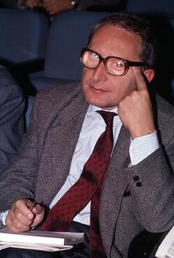 GIANSTEFANO FRIGERIO