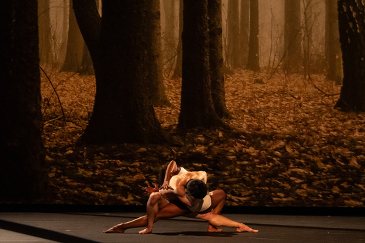 NY Fall For Dance Festival Program 4 NY Fall For Dance Festival Program 4