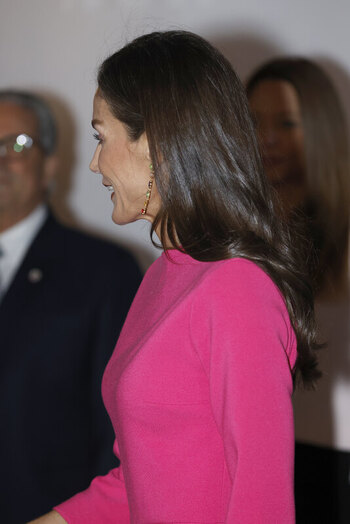 Queen Letizia presides over the inauguration of the 17th Ibero American Conference of Ministers of Health