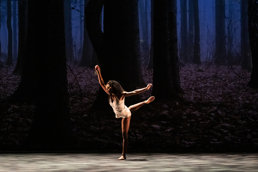NY Fall For Dance Festival Program 4 NY Fall For Dance Festival Program 4