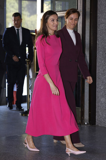 Queen Letizia presides over the inauguration of the 17th Ibero American Conference of Ministers of Health