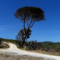 SEGESTA. Fotografie di Giulio Azzarello ©2024. SEGESTA. Fotografie di Giulio Azzarello ©2024.