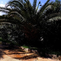 MONDELLO fotografie di Giulio Azzarello ©2021. MONDELLO fotografie di Giulio Azzarello ©2021.