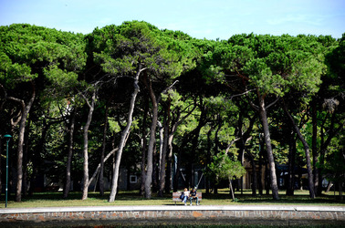 GIARDINI della BIENNALE a Venezia. Foto di Giulio Azzarello &copy;2015 2016.