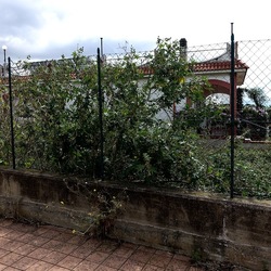 CAMMINANDO. Fotografie di Giulio Azzarello &copy;2024.