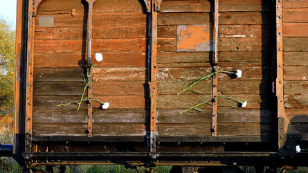AUSCHHWITZ BIRKENAU la commemorazione. Fotografie di Giulio Azzarello &copy;2016.