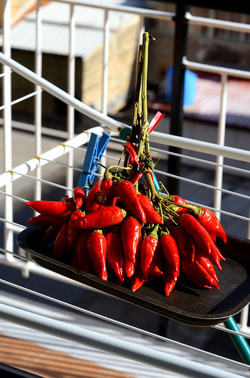 PEPERONCINO fotografie di Giulio Azzarello ©2014. PEPERONCINO fotografie di Giulio Azzarello ©2014.