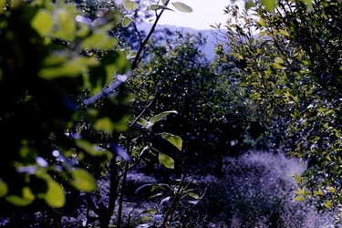 DIGITALIZZAZIONI fotografie di Giulio Azzarello &copy;2020.