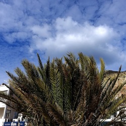 MONDELLO. Fotografe di Giulio Azzarello &copy;2023.