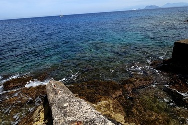 ARENELLA Fotografia di Giulio Azzarello ©2022.