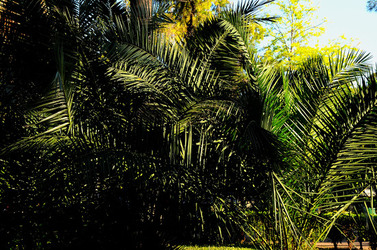 PALERMO il suo centro storico le periferie i monumenti. Fotografie di Giulio Azzarello ©2014.