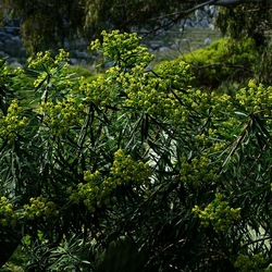 OSSERVAZIONI. Fotografie di Giulio Azzarello ©2022. OSSERVAZIONI. Fotografie di Giulio Azzarello ©2022.