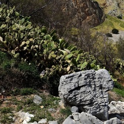 RISERVA NATURALE. Fotografie di Giulio Azzarello &copy;2022.