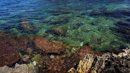 BAIA DEL CORALLO. Fotografie di Giulio Azzarello &copy;2022.