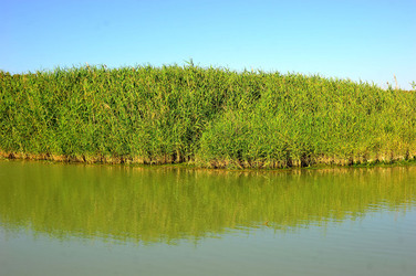 CANNETI in SICILIA. Fotografie di Giulio Azzarello &copy;2016.