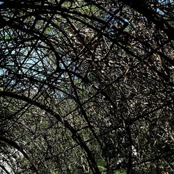 Arabo Normanno. Fotografie di Giulio Azzarello ©2024. Arabo Normanno. Fotografie di Giulio Azzarello ©2024.