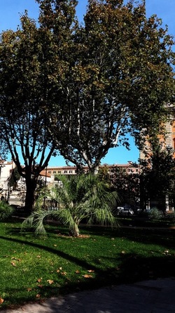 ROMA fotografie di Giulio Azzarello &copy;2022.