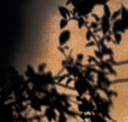 OMBRE di agosto. Fotografie di Giulio Azzarello &copy;2018.