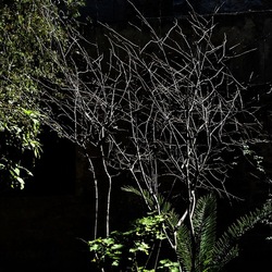 Arabo Normanno. Fotografie di Giulio Azzarello ©2024. Arabo Normanno. Fotografie di Giulio Azzarello ©2024.