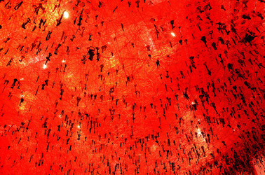 BIENNALE di VENEZIA padiglione giapponese. Foto di Giulio Azzarello &copy;2015 2016. Opera di Chiharu Shiota The KEY in the HAND .