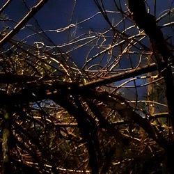 INVERNO. Fotografie di Giulio Azzarello &copy;2023.