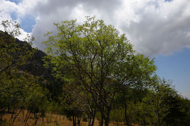 IL PARCO DELLE MADONIE da Polizzi Generosa in Sicilia. Fotografie di Giulio Azzarello &copy;2014.