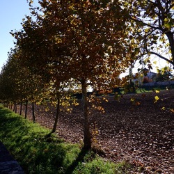 VICENZA La Rotonda di Andrea Palladio. Fotografie di Giulio Azzarello &copy;2022.