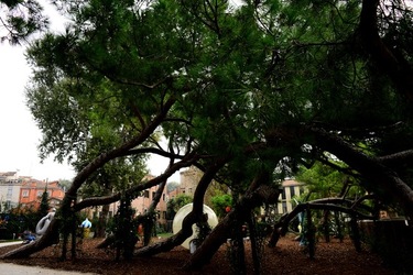 BIENNALE ARTI CONTEMPORANEE DI VENEZIA fotografie di Giulio Azzarello ©2020.