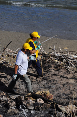 LA BONIFICA delle coste a Palermo una azione simbolica di Lega Ambiente Sicilia. Fotografie di Giulio Azzarello &copy;2014.