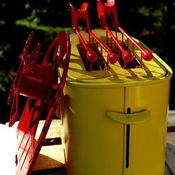 TOAST. Fotografie di Giulio Azzarello &copy;2025.