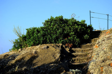 ISOLA DI USTICA il paese. Fotografie di Giulio Azzarello ©2016. ISOLA DI USTICA il paese. Fotografie di Giulio Azzarello ©2016.
