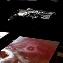 AUTUNNO fotografie di Giulio Azzarello ©2021. AUTUNNO fotografie di Giulio Azzarello ©2021.