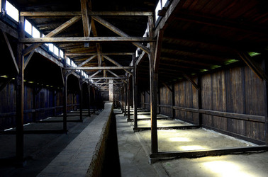 AUSCHWITZ BIRKENAU il percorso della memoria e i documenti. Fotografie di Giulio Azzarello &copy;2016.